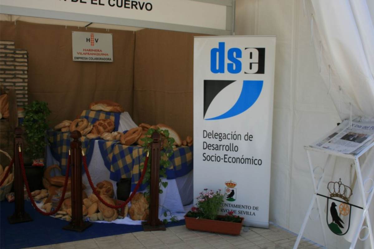 Display DSE